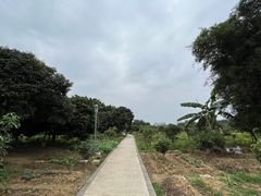 -鹤之洲湿地公园