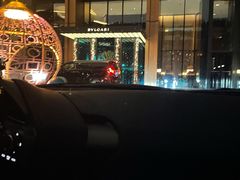 -宝丽轩中餐厅BAOLIXUAN