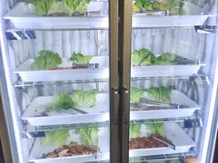 -33韩式自助烧烤(环城南路店)