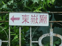 -溪岸路花鸟市场