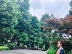 -龙头寺公园