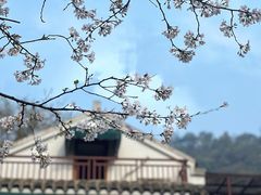-杭州上天竺法喜讲寺