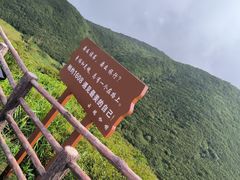 -大围山国家森林公园