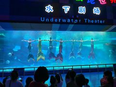 -泉城欧乐堡海洋极地世界