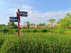 -良渚古城遗址公园