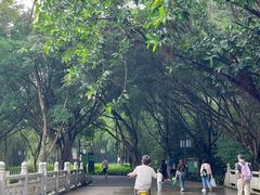 -顺峰山公园