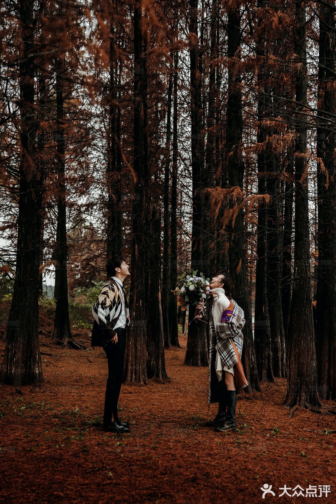 秋意红杉林婚纱照🍂如痴如画，美得动魄惊心！