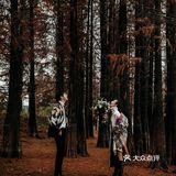 秋意红杉林婚纱照🍂如痴如画，美得动魄惊心！