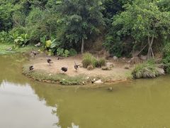 -泉州海丝野生动物世界
