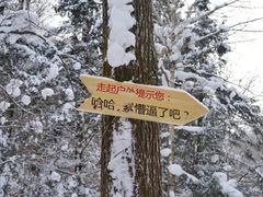 -雪谷