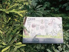 -深圳仙湖植物园