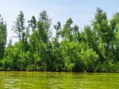 -东寨港红树林旅游区