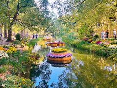 -上海共青森林公园