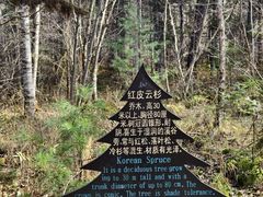-五营国家森林公园