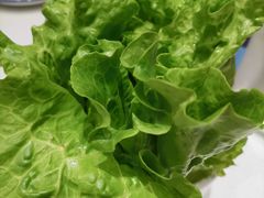 -古乐牛香·鲜牛肉牛杂火锅(梅村五洲国际店)