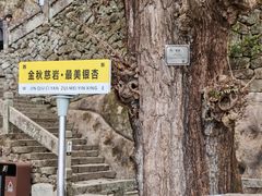 -大慈岩风景区