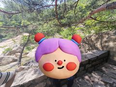 -无染寺