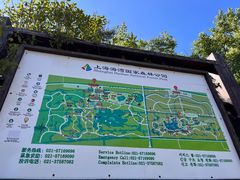 -上海海湾国家森林公园