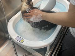 -PETKIT小佩宠物·低压洗护(国顺东路店)