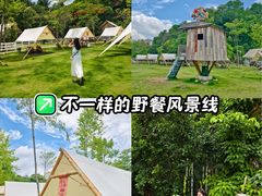 -云栖山谷野奢营地