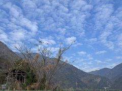 -东天目山风景区