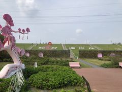-佛手湖郊野公园