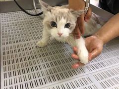 -宠颐生动物医院·小陆分院