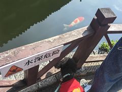 -香麒园·过桥米线·南湖雅宴