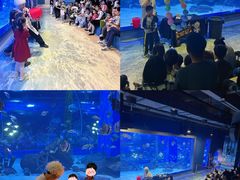 -顺德南宏海立方海洋公园