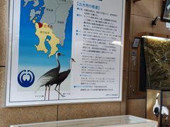 -钏路市丹顶鹤自然公园