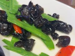 -俭寨大盘鸡·新疆菜·烧烤(博乐店)