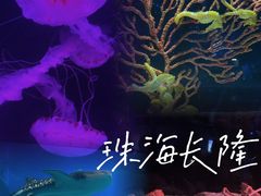-珠海长隆海洋王国