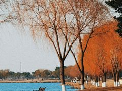 -漕湖湿地公园
