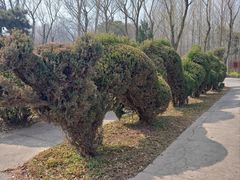 -禹州森林植物园