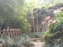 -杭州黄龙洞