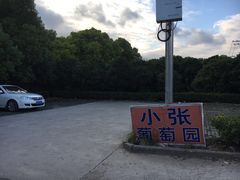 -马陆小张葡萄园农家乐