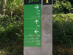 -火炉山森林公园