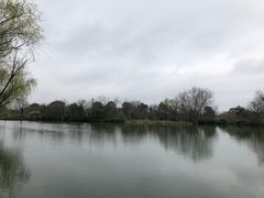 -西溪国家湿地公园