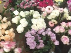 -长宁东道花卉宠物市场