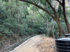 -梧桐山风景名胜区