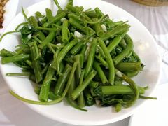 -明升萝卜汤