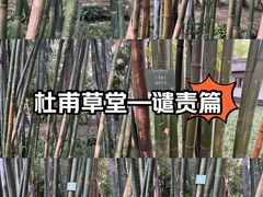 -成都杜甫草堂博物馆