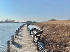 -苏州太湖湖滨国家湿地公园