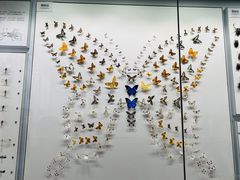 -四川大学博物馆