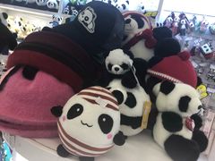-绵阳南郊机场