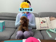 -法兰之吻蛋糕甜品(大望路店)