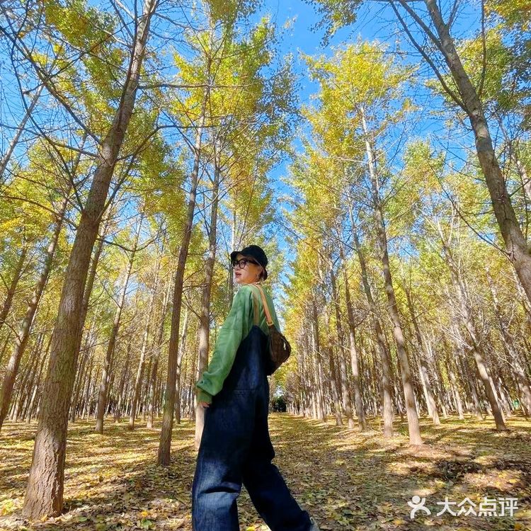 汉阳陵一日游|汉服写真|博物馆宝藏行
