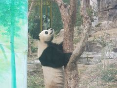 -武汉动物园