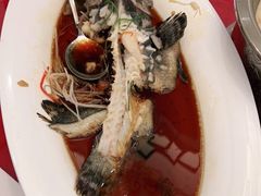 -金狮麟·新豫菜(金码大厦店)