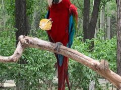 -北京野生动物园